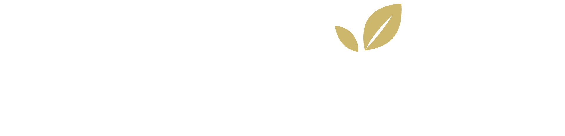 Revinna